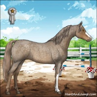 Horse Color:Chocolate Palomino Roan