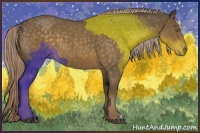 Horse Color:Chocolate Palomino Roan 