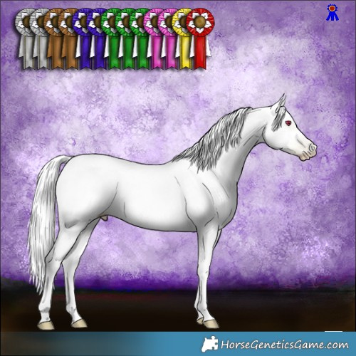Horse Color:Gray Chocolate Palomino Chinchilla Roan Pearl Tobiano 