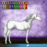 Horse Color:Gray Chocolate Palomino Chinchilla Roan Pearl Tobiano 