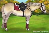 Horse Color:Palomino Roan Onyx 