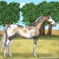 Horse Color:Silver Brown Onyx Splash Tobiano