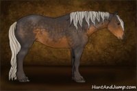 Horse Color:Silver Smoky Black Sabino 