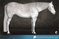 Horse Color:Platinum White Spotted Chocolate Palomino Roan Rabicano 