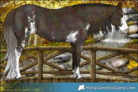 Horse Color:Midnight Buckskin Ice Sabino 