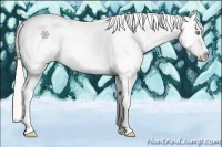 Horse Color:Silver Amber Champagne Dun Splash Tobiano Near Leopard 