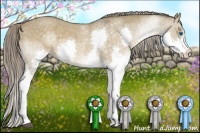 Horse Color:Chocolate Palomino Roan Dun Splash