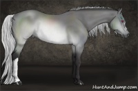 Horse Color:Silver Buckskin Chinchilla 