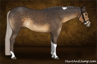 Horse Color:Silver Smoky Black Tobiano 