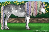 Horse Color:Painted Silver Black Chinchilla Splash 