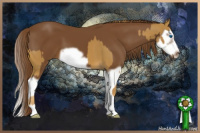 Horse Color:Chestnut Splash Frame  and Gray Chestnut Splash Frame 