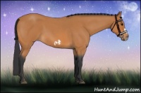 Horse Color:Bay Roan Splash Frame 