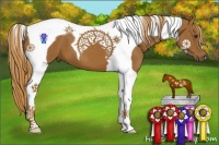 Horse Color:Chestnut Tobiano