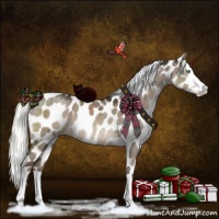 Horse Color:Liver Red Dun Mushroom Splash Appaloosa Brindle 