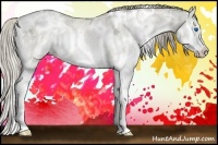 Horse Color:White Spotted Smoky Grullo Ice Pearl Sabino Splash Rabicano