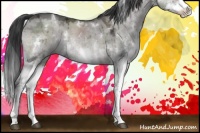 Horse Color:White Spotted Brown Ice Dun Sabino Splash Rabicano