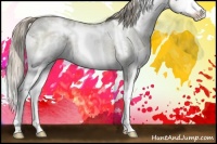 Horse Color:White Spotted Smoky Grullo Ice Pearl Sabino Splash 