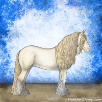 Horse Color:Buckskin Roan Pearl  and Buckskin Roan Pearl