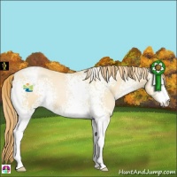 Horse Color:White Spotted Smoky Black Pearl Sabino Appaloosa 