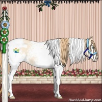 Horse Color:White Spotted Buckskin Pearl Tobiano 