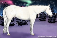 Horse Color:White Spotted Palomino Chinchilla Dun Sabino Varnish 