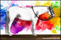 Horse Color:White Spotted Black Splash Tobiano Frame Appaloosa 