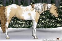 Horse Color:Grullo Pearl Tobiano