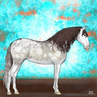 Horse Color:Classic Champagne Ice Onyx Sabino Splash Appaloosa Brindle 