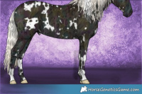 Horse Color:White Spotted Midnight Gold Cream Champagne Ice Onyx 
