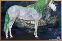 Horse Color:Watercolor White Spotted Buckskin Ice Onyx Sabino Rabicano 