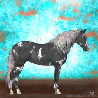 Horse Color:Nacre Watercolor White Spotted Midnight Gold Champagne Ice Dun Sabino Rabicano