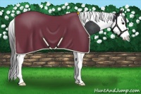 Horse Color:Black Splash Tobiano Varnish Rabicano 