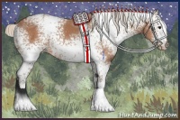 Horse Color:White Spotted Silver Bay Ice Rabicano 