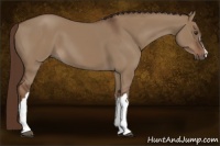 Horse Color:Liver Red Dun 
