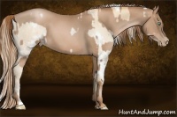 Horse Color:White Spotted Gold Champagne Roan Pearl  and Liver Chestnut Pearl 