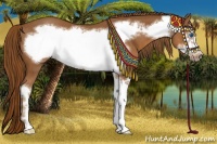 Horse Color:Chestnut Sabino Frame 
