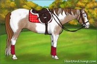 Horse Color:Red Roan Splash Tobiano