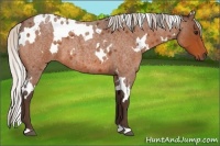 Horse Color:White Spotted Silver Brown Roan