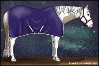 Horse Color:Smoky Grullo Splash Tobiano Varnish Rabicano 