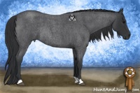 Horse Color:Blue Roan Rabicano 