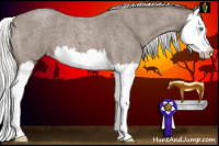 Horse Color:Gray Silver Smoky Creme Roan Splash Varnish