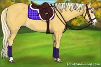 Horse Color:Palomino 