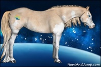 Horse Color:Red Roan Sabino Splash 