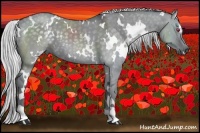 Horse Color:White Spotted Silver Grullo Chinchilla 