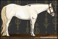 Horse Color:Buckskin Roan Pearl and Buckskin Roan Pearl Frame