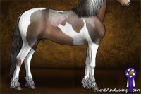 Horse Color:Liver Red Roan Sabino  and Liver Chestnut Tobiano 