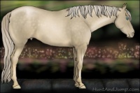 Horse Color:Chocolate Palomino Pearl Mushroom