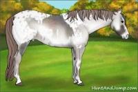 Horse Color:Platinum White Spotted Brown Roan Onyx Frame and Platinum Red Onyx Appaloosa