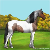Horse Color:Brown Roan Tobiano 