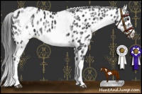 Horse Color:White Spotted Black Splash Frame Appaloosa